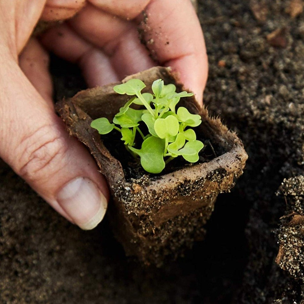 Paper Pot 3 x 4 Seed Starter Tray Green Valley Garden