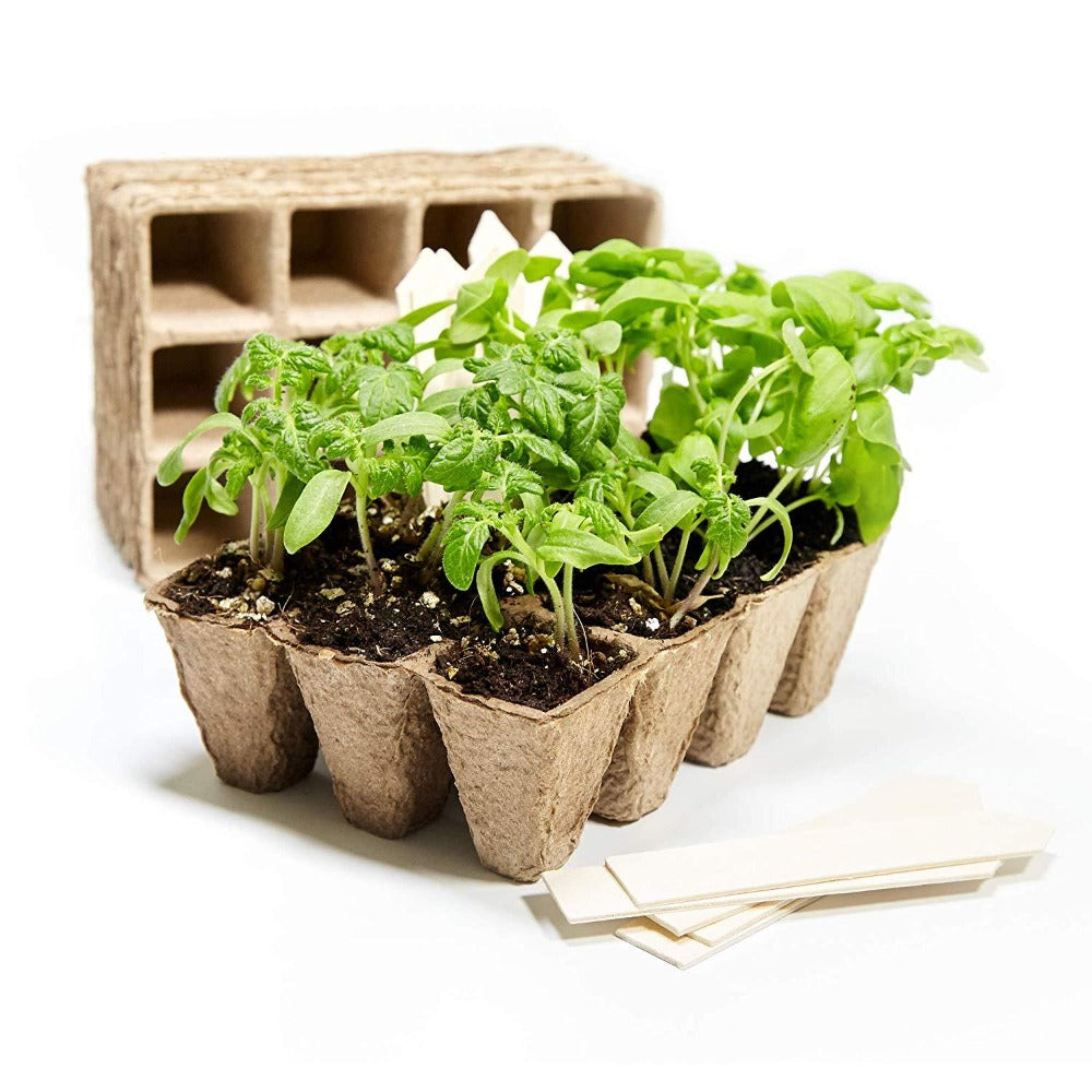 12 CELLS 60 pack Paper Pot 3 x 4 Seed Starter Tray Green Valley Garden