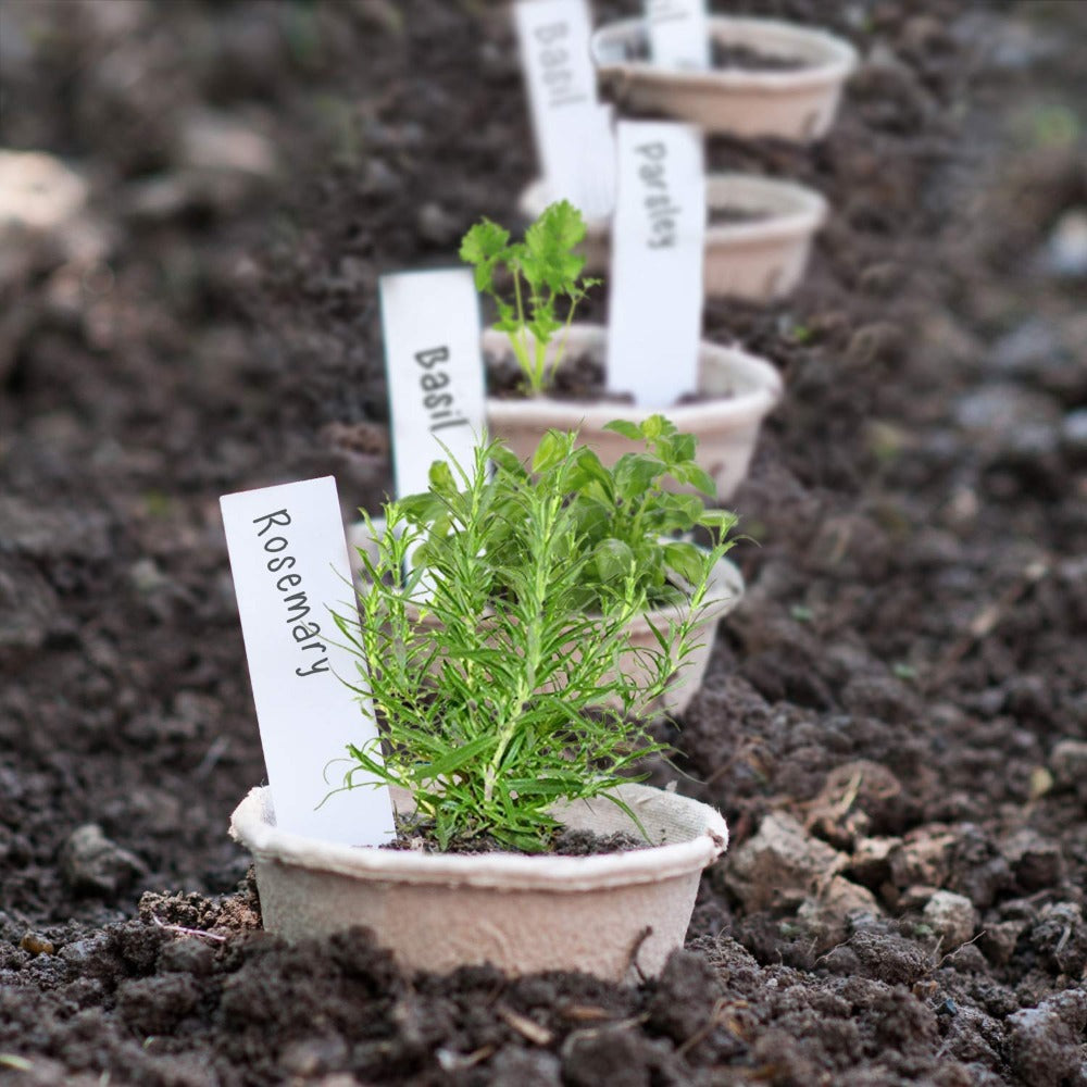 Biodegradable Paper Pulp Pot Plant Nursery Seed Starter Green Valley Garden