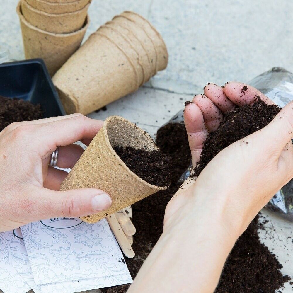 Biodegradable Paper Pulp Pot Plant Nursery Seed Starter Green Valley Garden