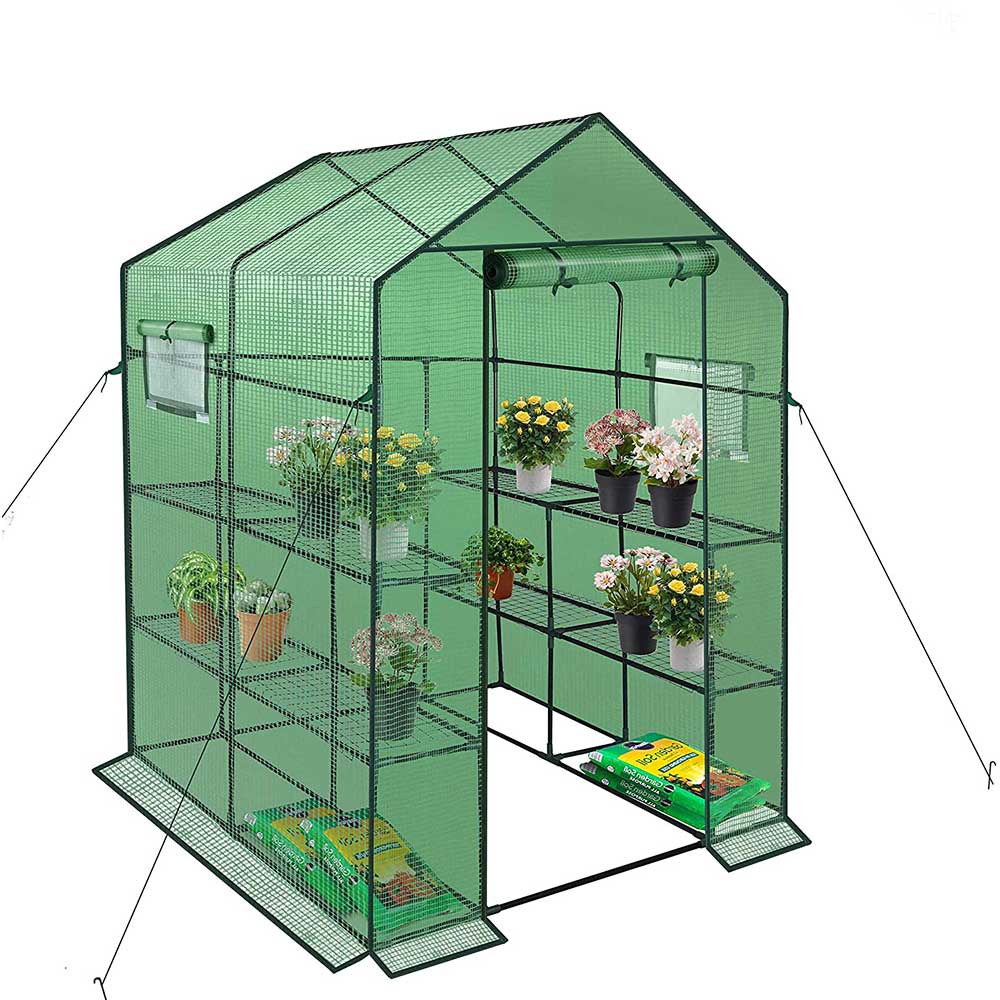 Reinforced Walk in Greenhouse with Window,Plant Gardening Green House 2 Tiers and 8 Shelves L56.5 x W56.5 x H76.5
