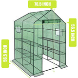 Reinforced Walk in Greenhouse with Window,Plant Gardening Green House 2 Tiers and 8 Shelves L56.5 x W56.5 x H76.5
