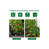 Garden Trellis for Climbing Plants for Flower Vegetable 4 Pack Iron Tomato Cages